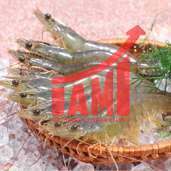 Tôm